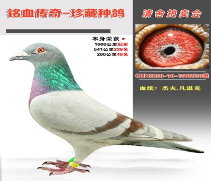 Ѫy(tng)ܷ.ؿ˱ɿǧ܊