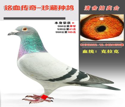 Ѫy(tng)Ѫϵɿ550＾܊