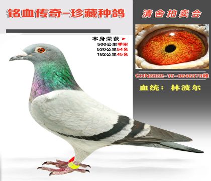 (qing)]ֲѪϵɿ500＾܊