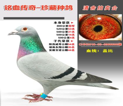 (qing)]Ѫy(tng)wȱɿ800܊