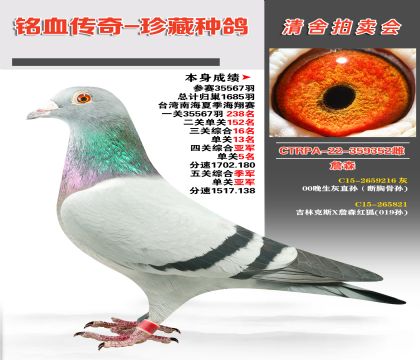 _(ti)ղɭѪϵs@vCϼ܊