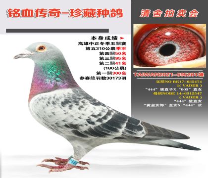 _(ti)Sֱ-W.ՠѪϵs@v܊