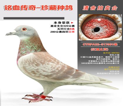 _(ti)(qing)پ輯F(tun)t֮tħŮ527