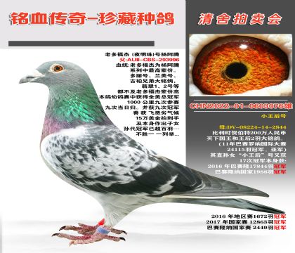 ǷN϶ร(ҹ)̖(ho)vѪϵ