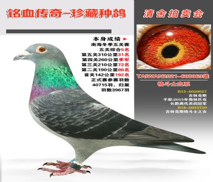 I(y)ʿѪϵɿP(gun)C5