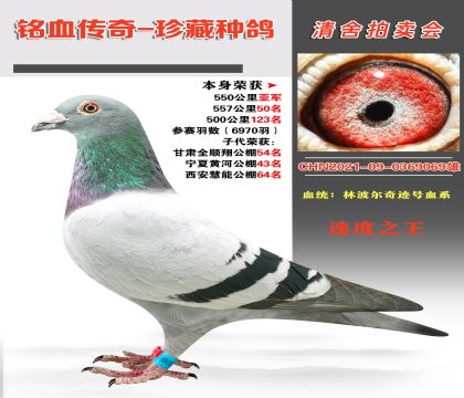 (qing)]ֲE̖(ho)Ѫϵs@550܊