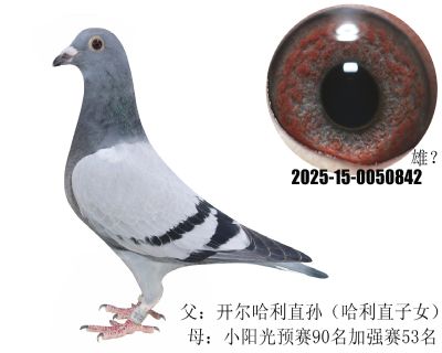 (yng)A(y)ِ90ӏ(qing)ِ53ֱO