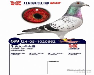 同父且同外祖父母兄