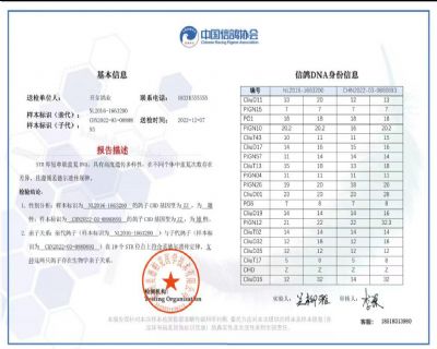 全兄弟及父鴿DNA