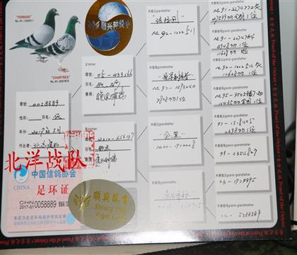 母血統(tǒng)書