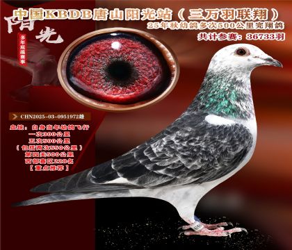 c(din)].ЇKBDB|ِfP(gun)