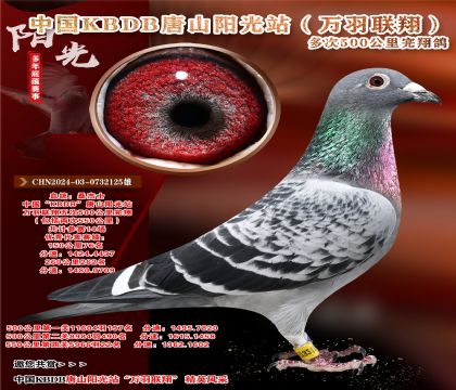 O]P(gun)22f197Ӌِ14