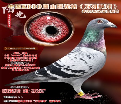 O].KBDBf(lin).(yu)㪄