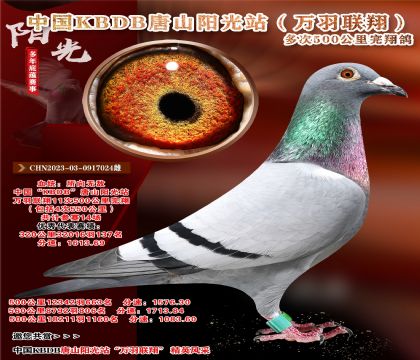 O].KBDBf(lin)32016137