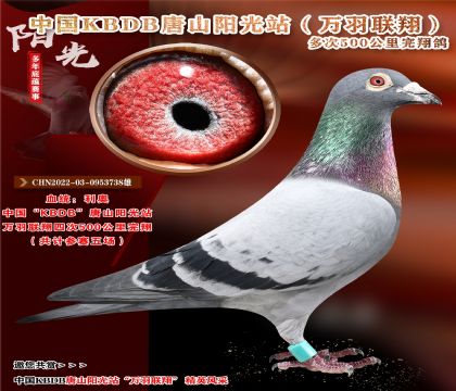 c(din)]ЇKBDBfP(gun)