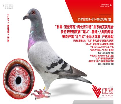 ȫ13ƽ݅520-0063682