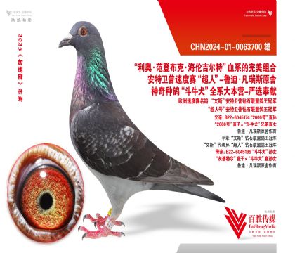 üt̖(ho)9992Ѫ _(chung)113ƽ݅-0063700