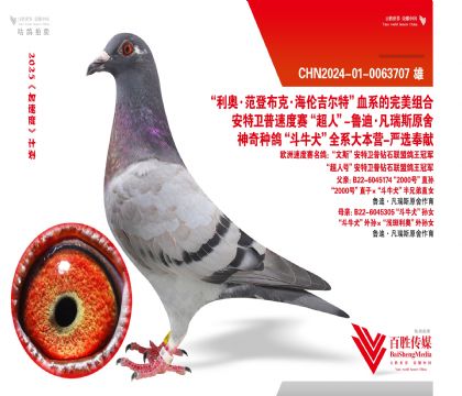 üt̖(ho)9992Ѫ_(chung)113ͬĸ-0063707