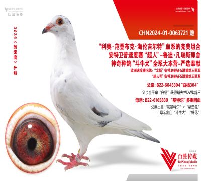 ؠţȮûח-0063721