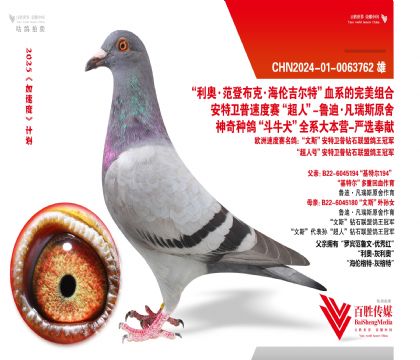 ȫٶϵںȫQِ58-0063762