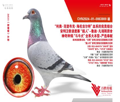 üt̖(ho)9992Ѫ_(chung)113ͬĸ-0063800