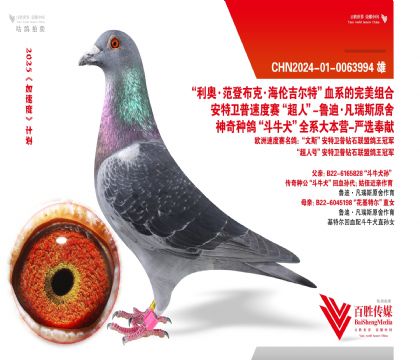 ݅֡ţȮƽ݅51320-0063994