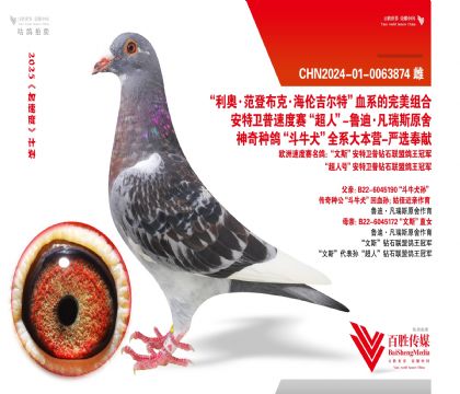 ݅֡ţȮƽ݅51320-0063874