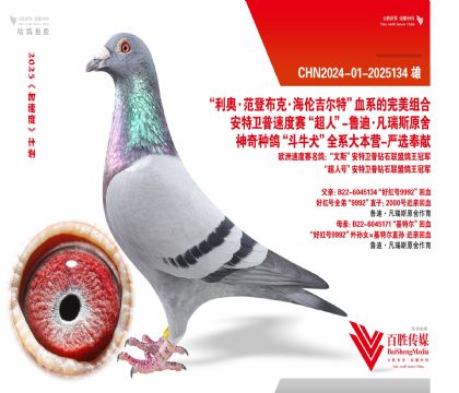 ؠ9992ؽHѪ-2025134