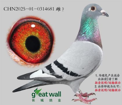 8.r(sh)911Ѫ.0314681