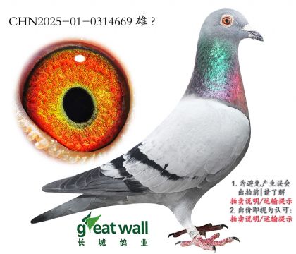 7.sҫ̖(ho)O.0314669