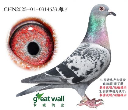 11.sҫ̖(ho)O.0314633