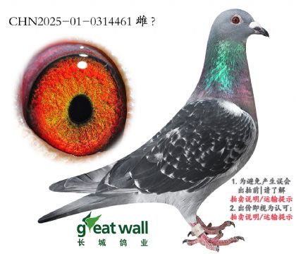 12.țQِ36ƽ݅.0314461