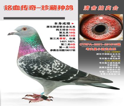 _I(y)迼СϿѪϵɿvC15λ