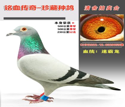 Ѫy(tng)ٰs@500＾܊