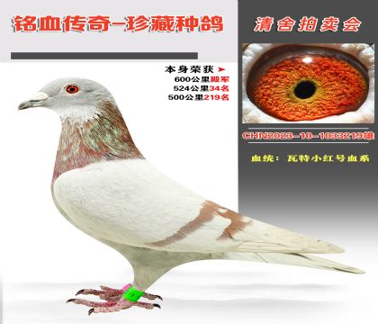 Ѫy(tng)Сt̖Ѫϵs@600܊