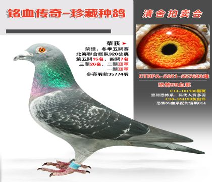 _ȫֲ59Ѫϵ䌦˹014s@P(gun)7