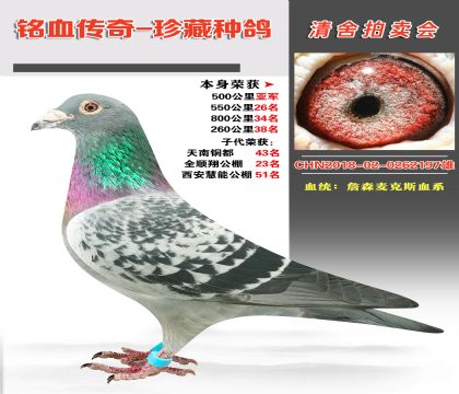 Ѫy(tng)ղɭ˹Ѫϵs@500܊