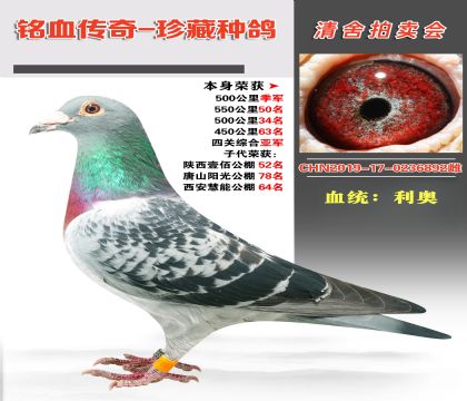 Ѫy(tng)WѪϵs@500＾܊