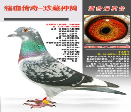 ϶รܣҹ飩̖(ho)v