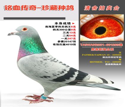 _(ti)wِ(jng)ղɭѪϵ