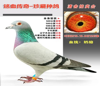 Ѫy(tng)Ѫϵs@500܊