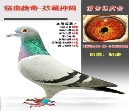 (qing)]Ѫϵɿ(j)530܊