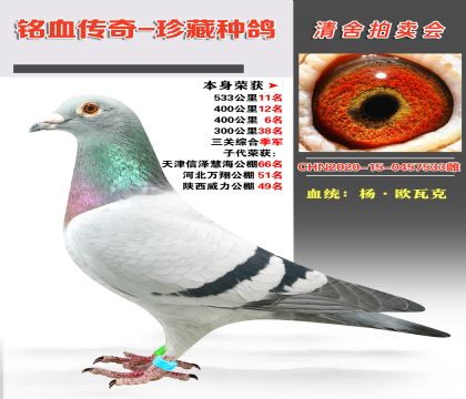 Ѫy(tng)W߿˱4006