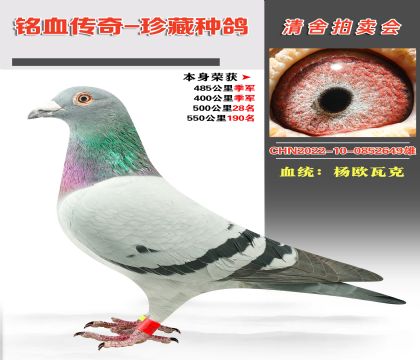 Ѫy(tng)W߿˱s@400＾܊