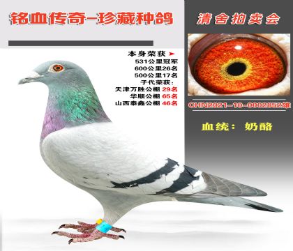 (qing)]Ѫϵɿ(j)531܊