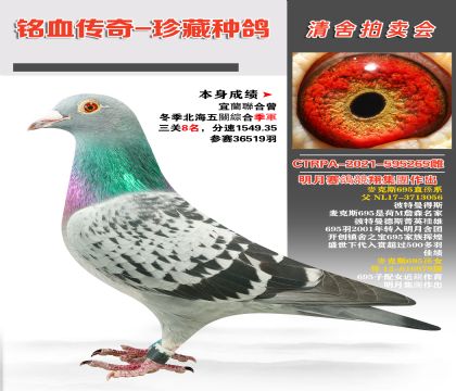 _(ti)¾輯F(tun)˹695ֱϵ