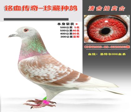 Ѫy(tng)ؠ006Ѫϵs@5005