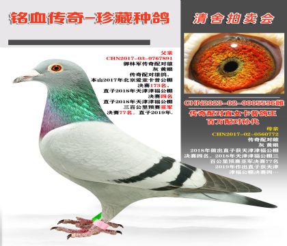 ܊䌦(du)ֱŮf(wn)䌦(du)O