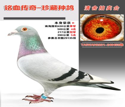 _(ti)wِ(jng)輯F(tun)ղɭѪϵ