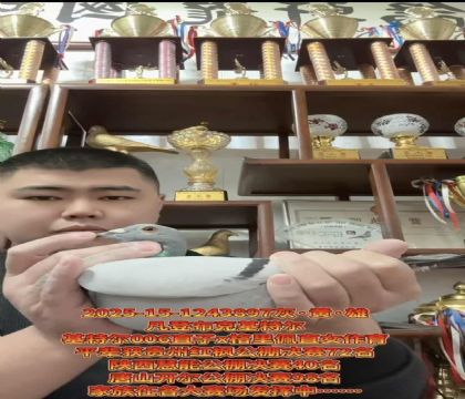 ǲˡWƥ006ֱX塱ֱŮ